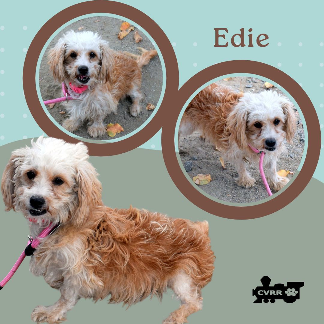 Edie (Ritzy)