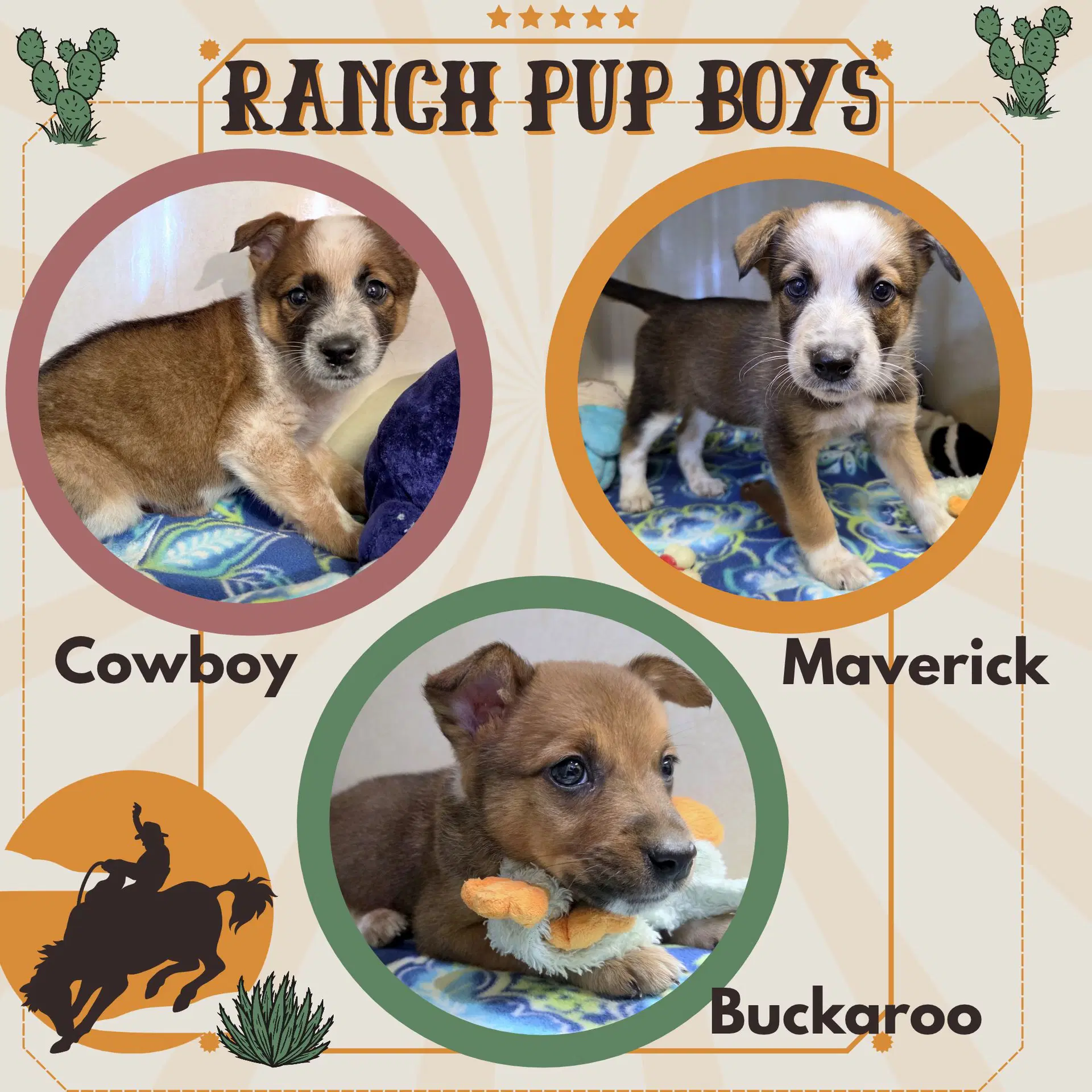 Ranch Pup Boys Puppy - Cattle Dog