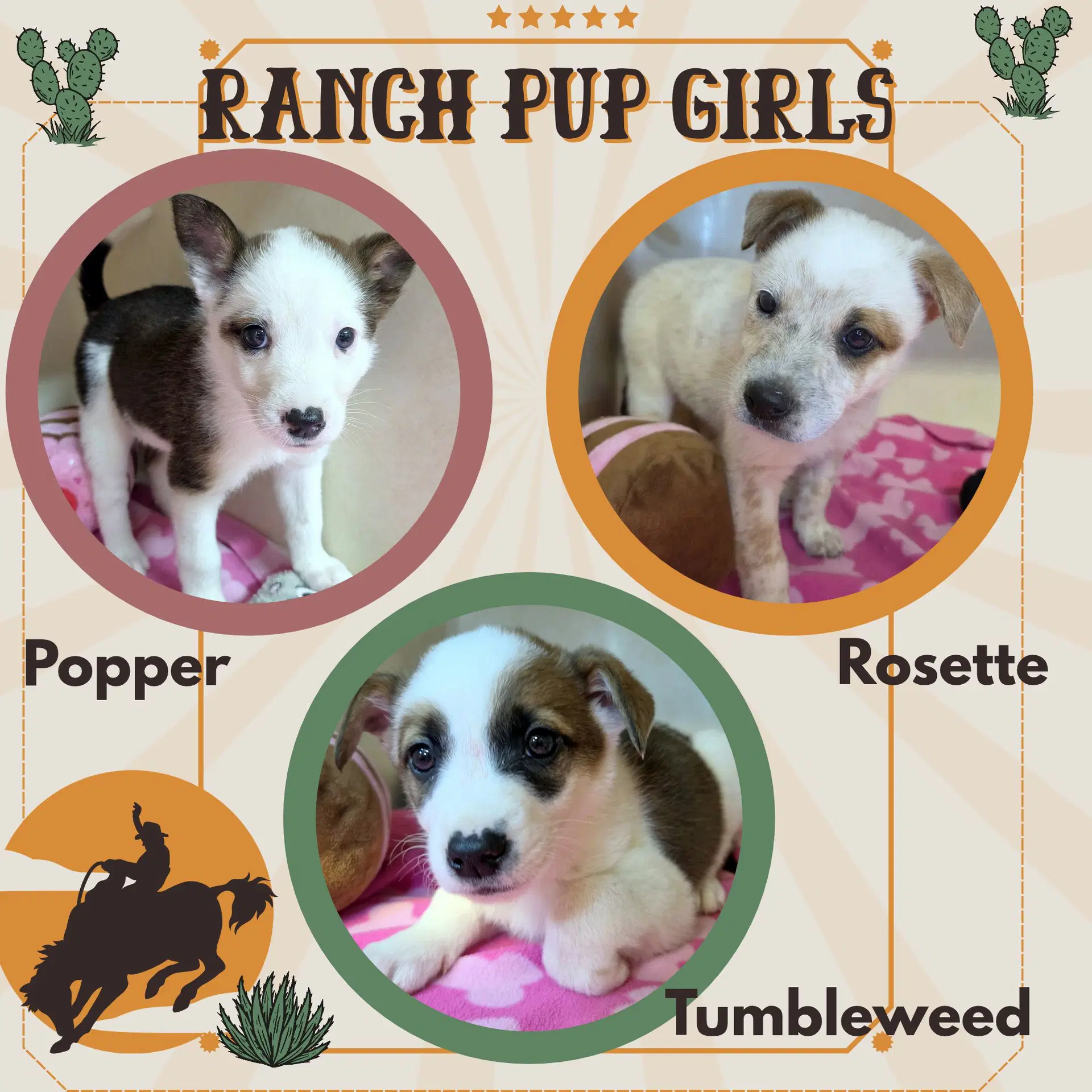 Ranch Pup Girls Puppy - Cattle Dog