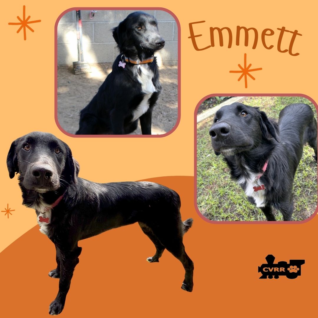 Emmett