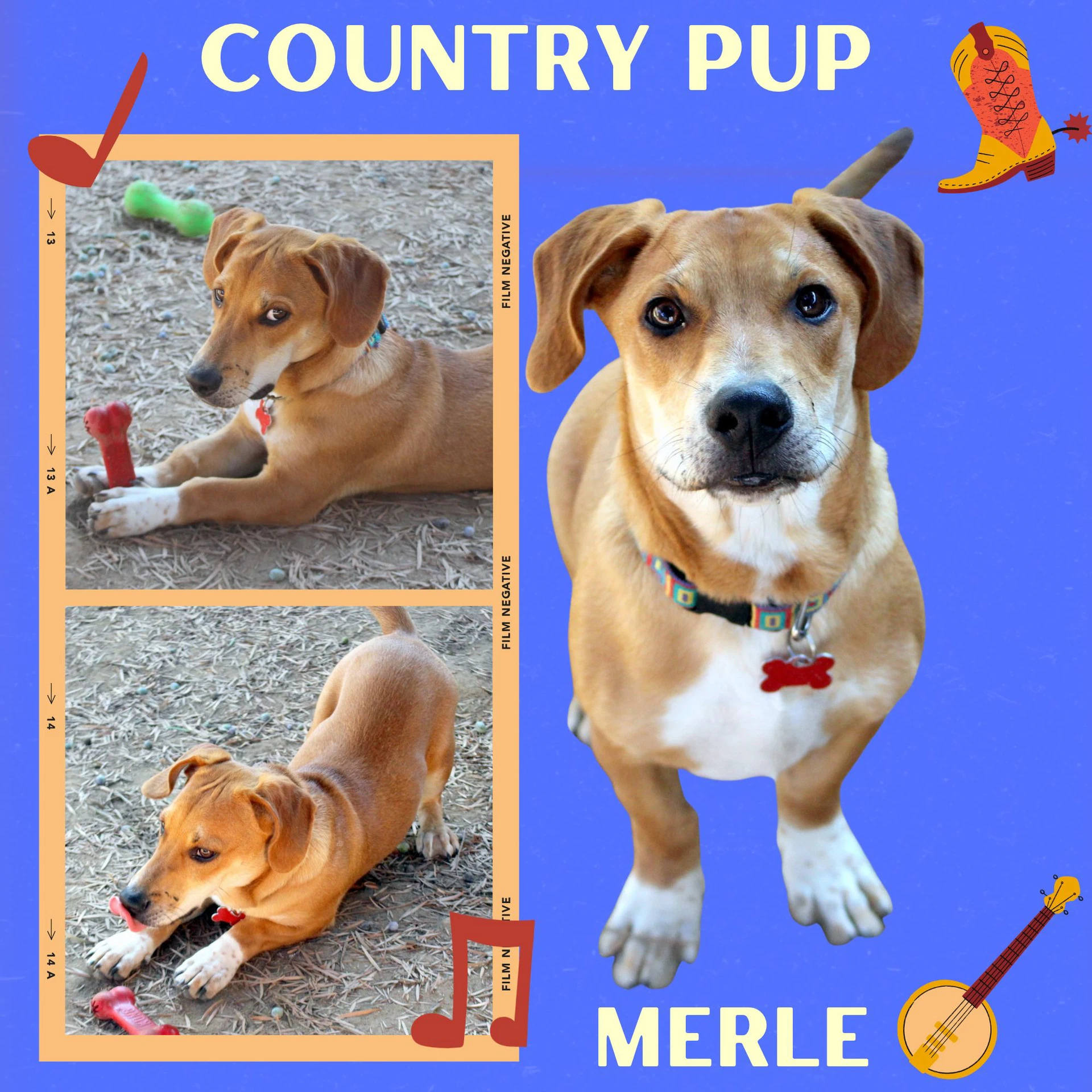 Merle
