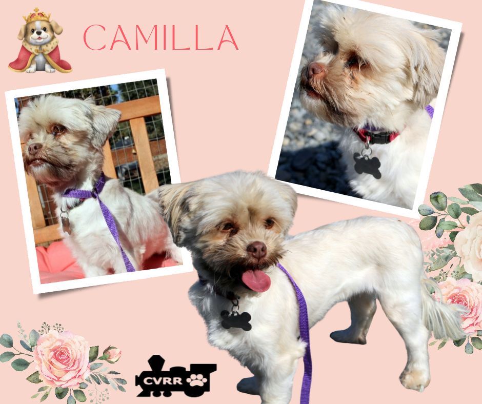 Camilla (Ritzy)