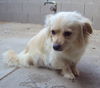 Shelly