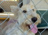 Stewart (Ritzy)