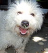 Armani (Ritzy)