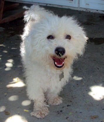 Armani (Ritzy)