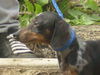 MoJo (Ritzy)