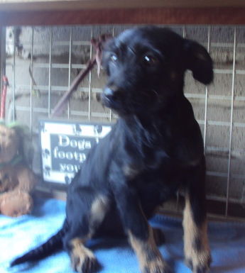 Betty