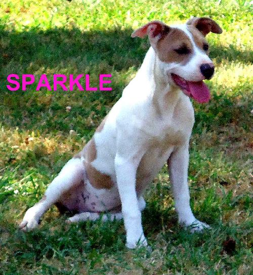 Sparkle