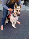 AnnaBelle( Ritzy)