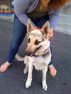 AnnaBelle( Ritzy)