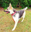 AnnaBelle( Ritzy)