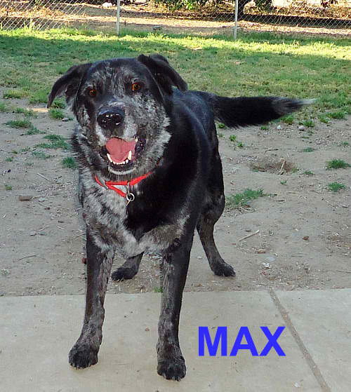 Max