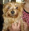 Mitzie (Ritzy)