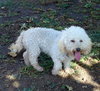 Sweet Pea (Ritzy)