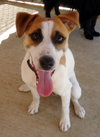 Buckeye (Ritzy)