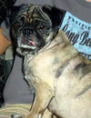 Mavis (Ritzy)