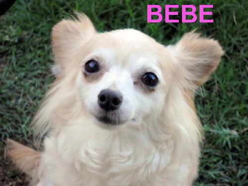 BeBe (Ritzy)