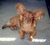 Sophie (Ritzy)