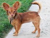 Sophie (Ritzy)