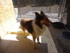 Regis (Ritzy)