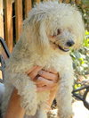 Sunshine (Ritzy)