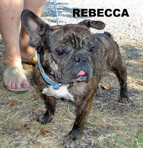 Rebecca (Ritzy)