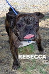 Rebecca (Ritzy)
