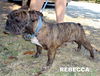 Rebecca (Ritzy)