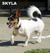 Skyla