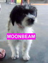 MoonBeam