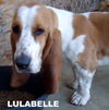 LulaBelle (Ritzy)