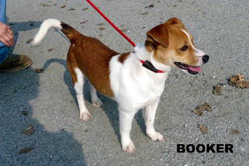 Booker