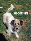 Higgins