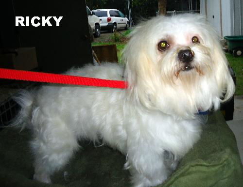 Ricky (Ritzy)