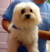 Ricky (Ritzy)
