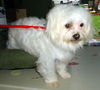 Ricky (Ritzy)