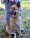 Buckley