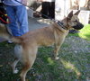 Buckley