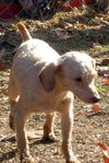 Reba (Ritzy)