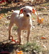 Reba (Ritzy)