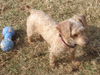 Reba (Ritzy)