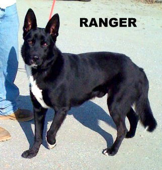 Ranger