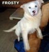 Frosty