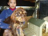 Snookie (Ritzy)