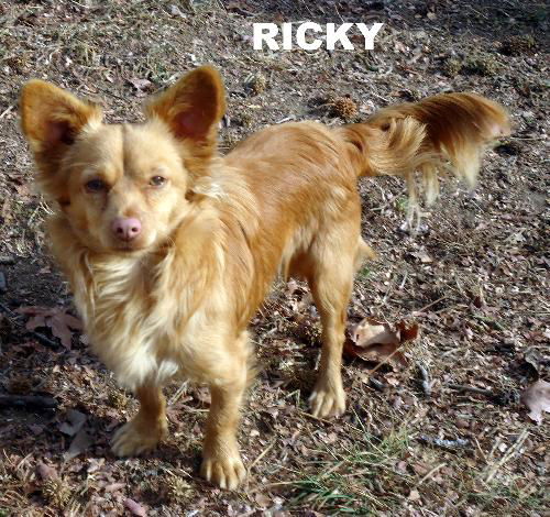 Ricky