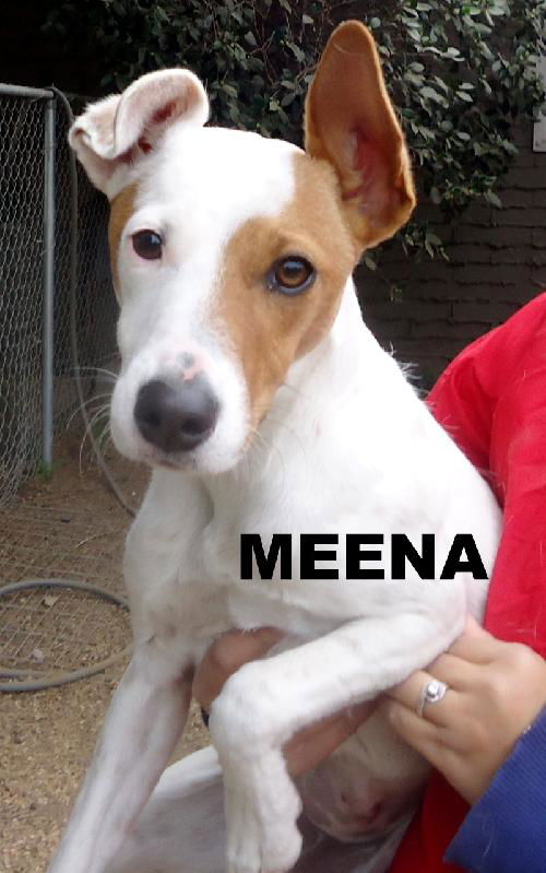 Meena