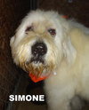 Simone (Ritzy)