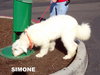 Simone (Ritzy)