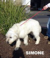 Simone (Ritzy)